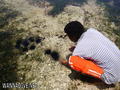 foto de buceo