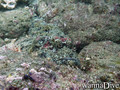 foto de buceo