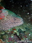 foto de buceo