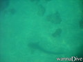 foto de buceo