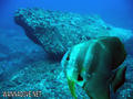 foto de buceo