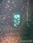foto de buceo