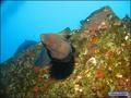 foto de buceo