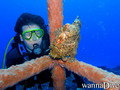 foto de buceo