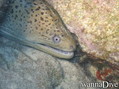 foto de buceo