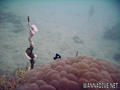 foto de buceo
