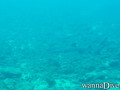 foto de buceo