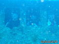 foto de buceo