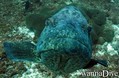 foto de buceo