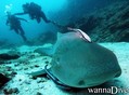 foto de buceo