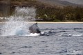 foto de buceo