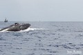 foto de buceo