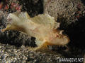 foto de buceo