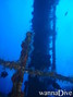 foto de buceo