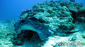 foto de buceo