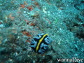foto de buceo