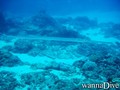 foto de buceo