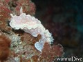 foto de buceo