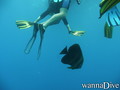 foto de buceo