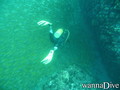 foto de buceo