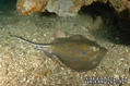 foto de buceo