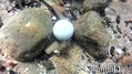 foto de buceo