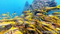 foto de buceo