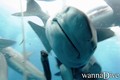 foto de buceo