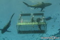 foto de buceo