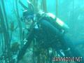 foto de buceo
