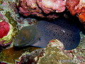 foto de buceo