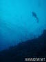 foto de buceo