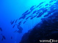 foto de buceo