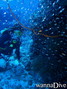 foto de buceo