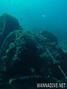 foto de buceo