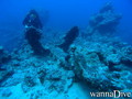 foto de buceo