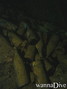 foto de buceo
