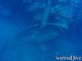 foto de buceo