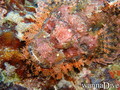 foto de buceo
