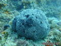 foto de buceo