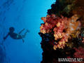 foto de buceo