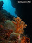 foto de buceo