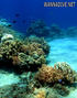 foto de buceo