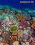 foto de buceo