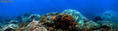 foto de buceo