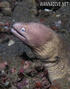foto de buceo