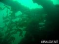 foto de buceo
