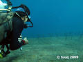foto de buceo