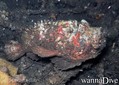 foto de buceo