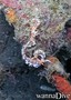 foto de buceo